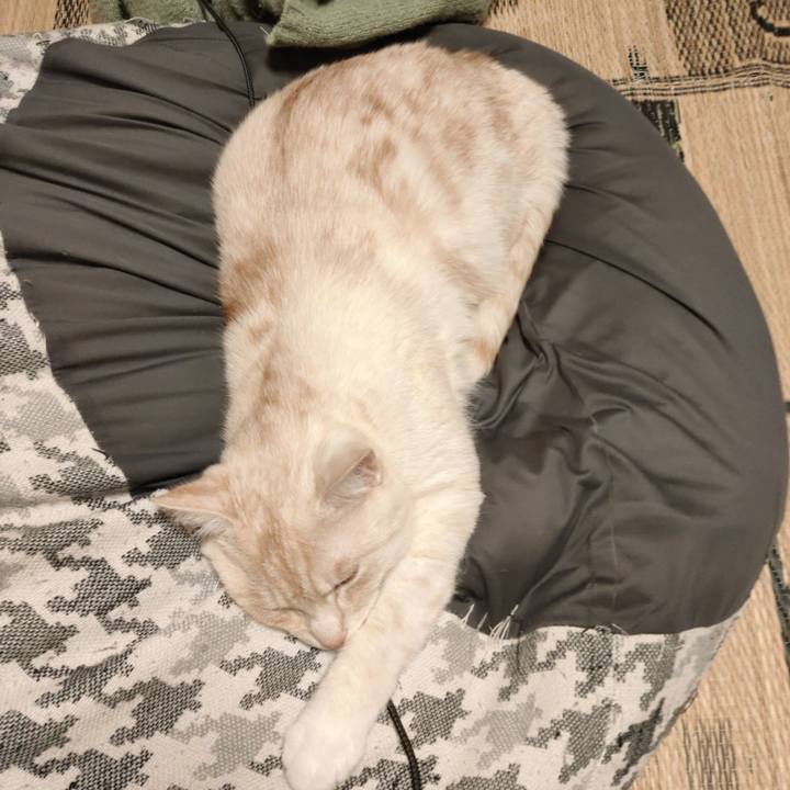 Ca15afc3 0597 4ced 96e3 3a704ce415dd 1654423800082