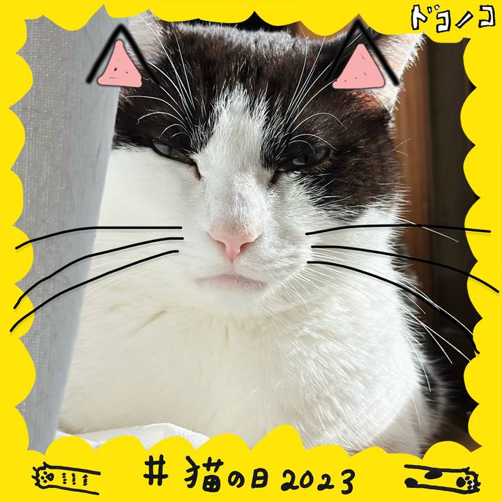 Ca15da8b 5d72 4314 b7c1 b56d5ca7d7c5 1677030746268