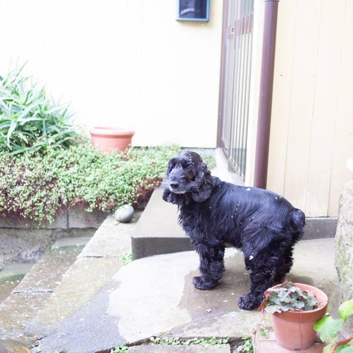 Ca15dfc1 bcf8 4ce0 8606 e5ca47177987 1550199986403