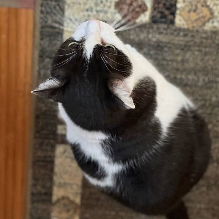 Ca15e508 e646 449d ab8b 608e8061fbf8 1765420157152