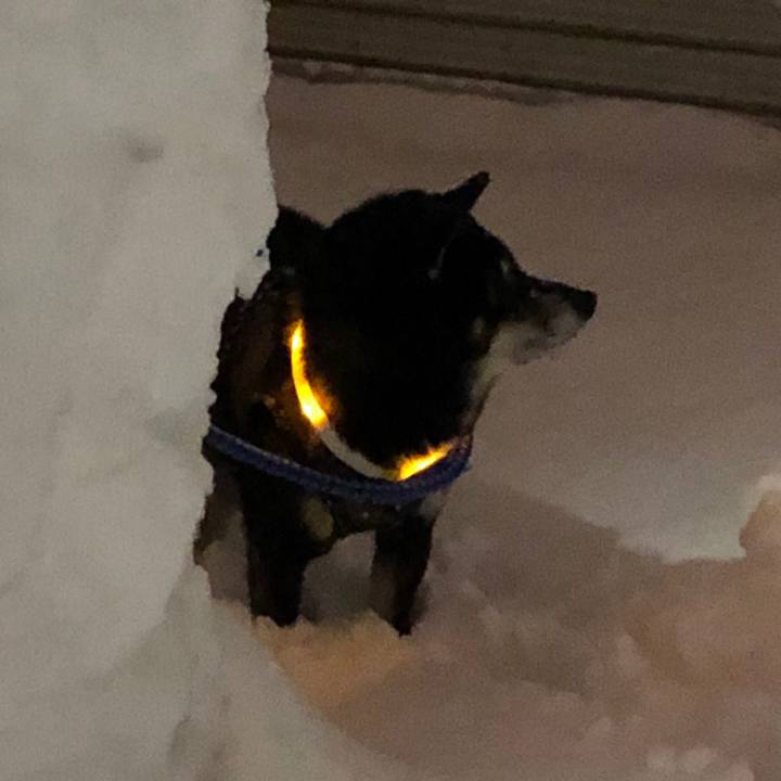 Ca16075d fde8 4310 aa6d 35431e75ff0b 1548975604355