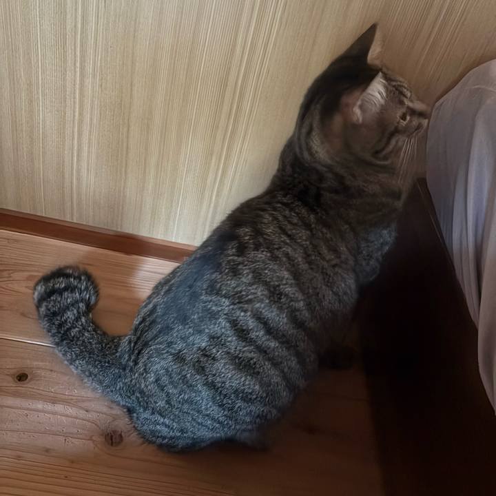 Ca16350a c620 4e0c 9618 c535e32b06fb 1760132343515