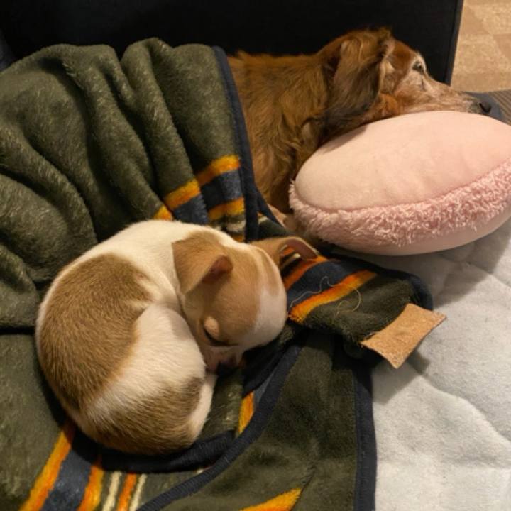 Ca165144 4093 49b0 9b93 a189a0604478 1762670971449