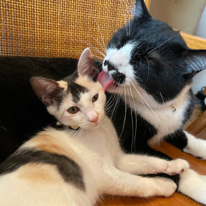 Ca166489 05df 4219 b269 a57d9e3ab536 1659313698250