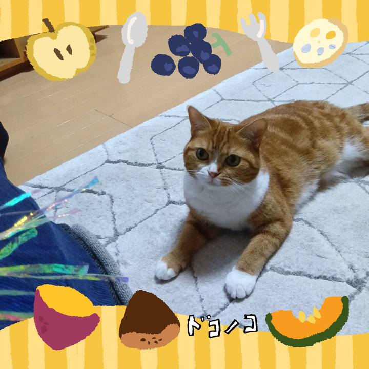 Ca1666bb 4562 4c0f aa99 1c523538c2bb 1726841076806