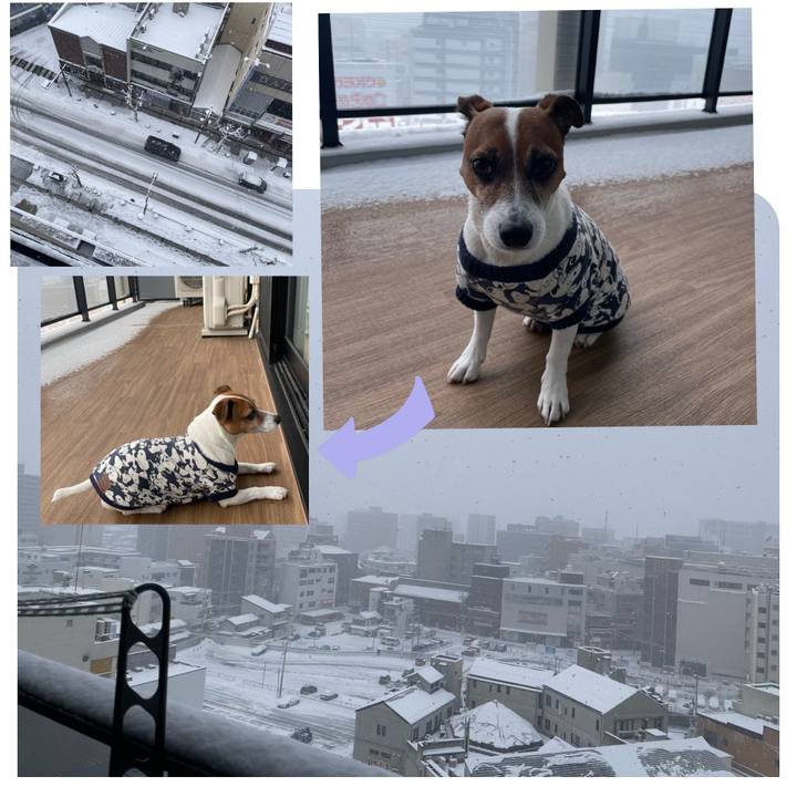 Ca169614 e5ae 4140 95d9 a156dd3d822d 1738980654928