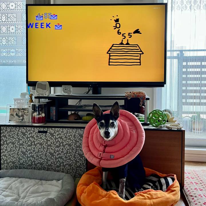 Ca16965b e62f 41e5 b786 2c59780ac377 1652392868984