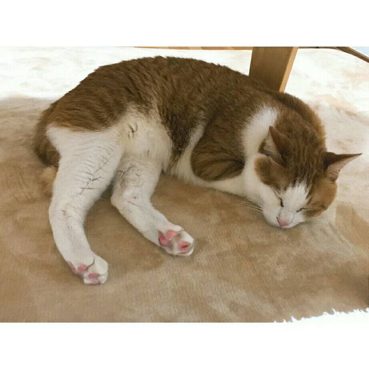 Ca16ce25 6d0d 44eb 8801 1decc8f82087 1508329783956