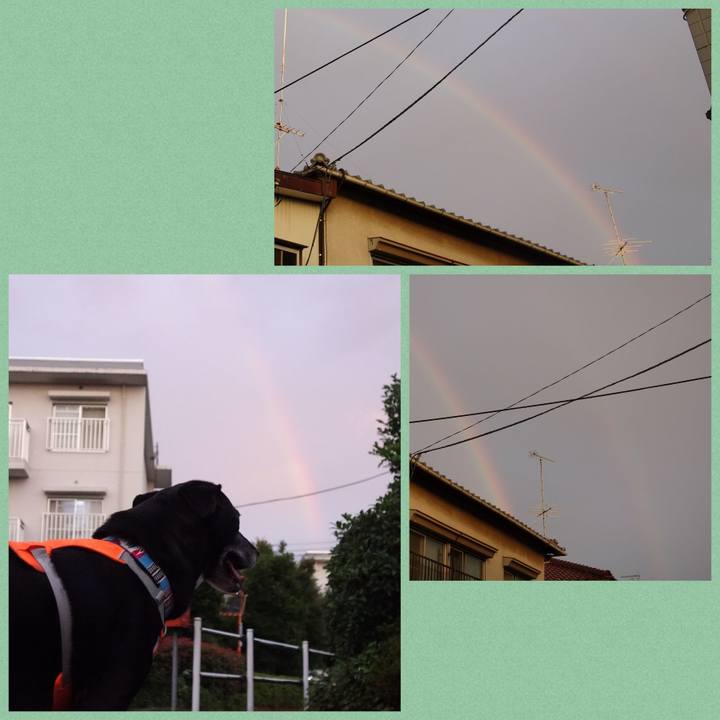 Ca16d2d0 a708 47ed 891f 1756a10243fa 1750943711502