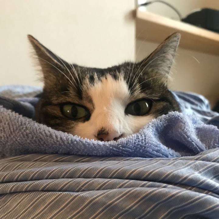 Ca16d531 ba0f 4a12 b129 cc69e82dfe30 1571292798168