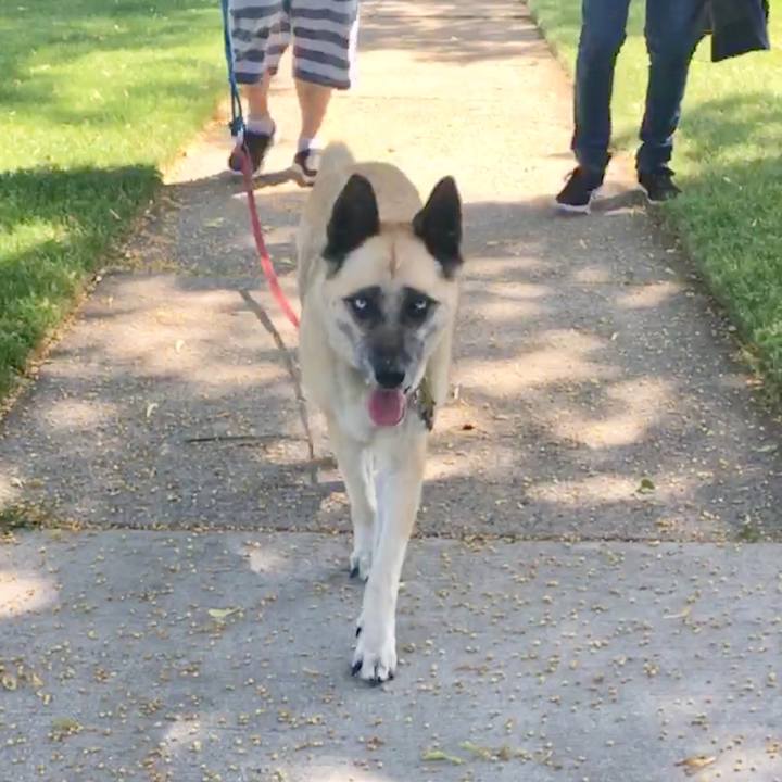 Ca16e1db ce06 4175 966a 1727b1abeb56 1530815317874