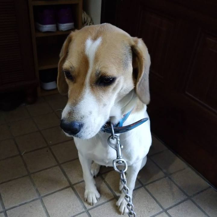 Ca170167 81e7 47ef aedc a5cb35ff2e8a 1606950890995