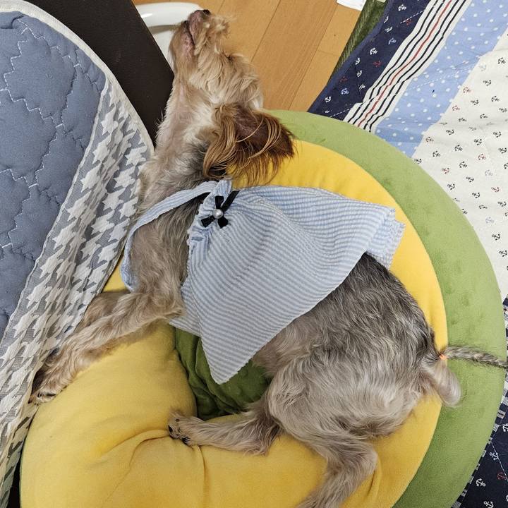 Ca1710c1 0ffe 4b46 b38e 11ba05d265af 1691125753956