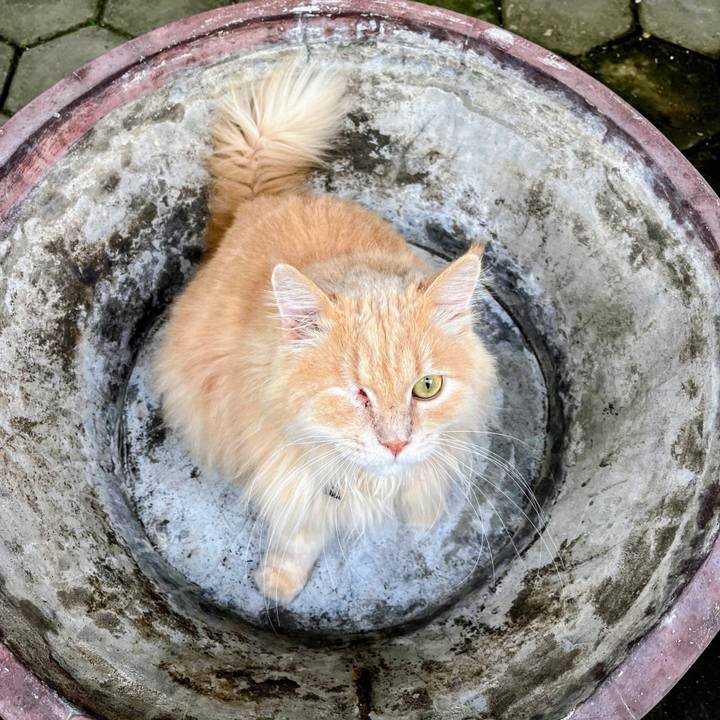 Ca177011 5313 4f77 9bdb 477103a2cc28 1765589928892