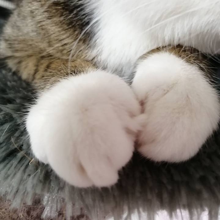 Ca177ed9 15b8 4676 9d31 d59e35f6c470 1675035076840