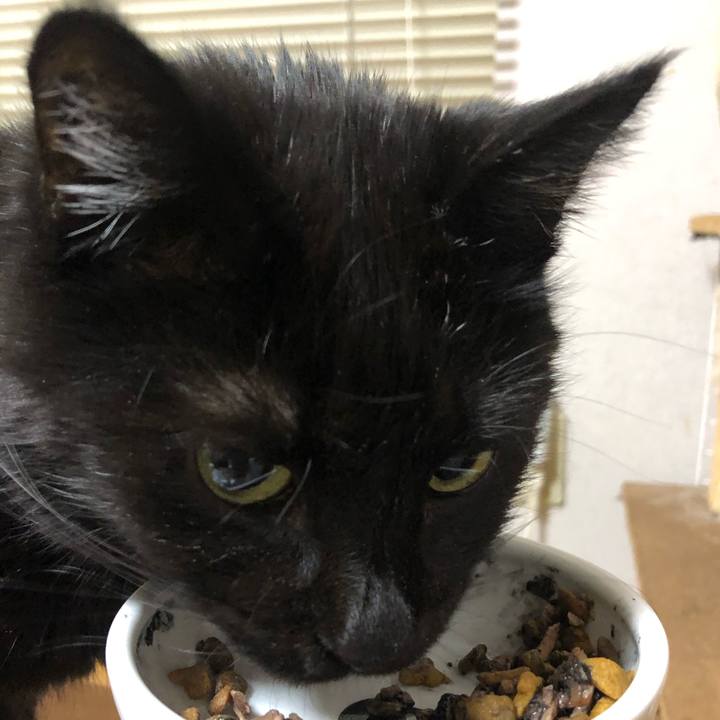 Ca17c03a 1548 4a30 b065 da7995c368e5 1613475693504