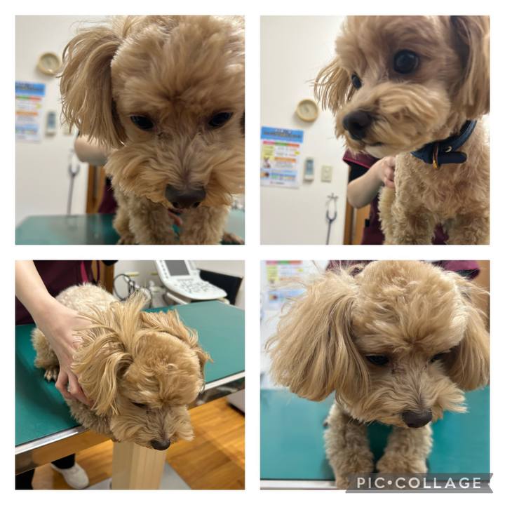 Ca17faf9 fa12 4107 a316 486ec23103f5 1703814691372