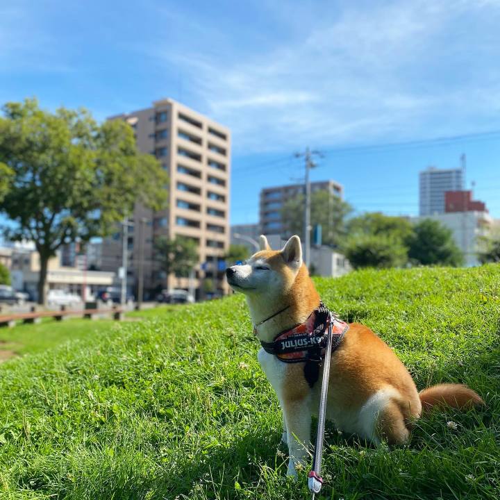 Ca184f5e 43c4 42a6 9f2c b66c82db86f1 1661130340008