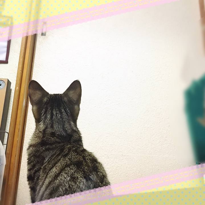 Ca187135 cf04 434f 8abd c4dfab044263 1541938499288