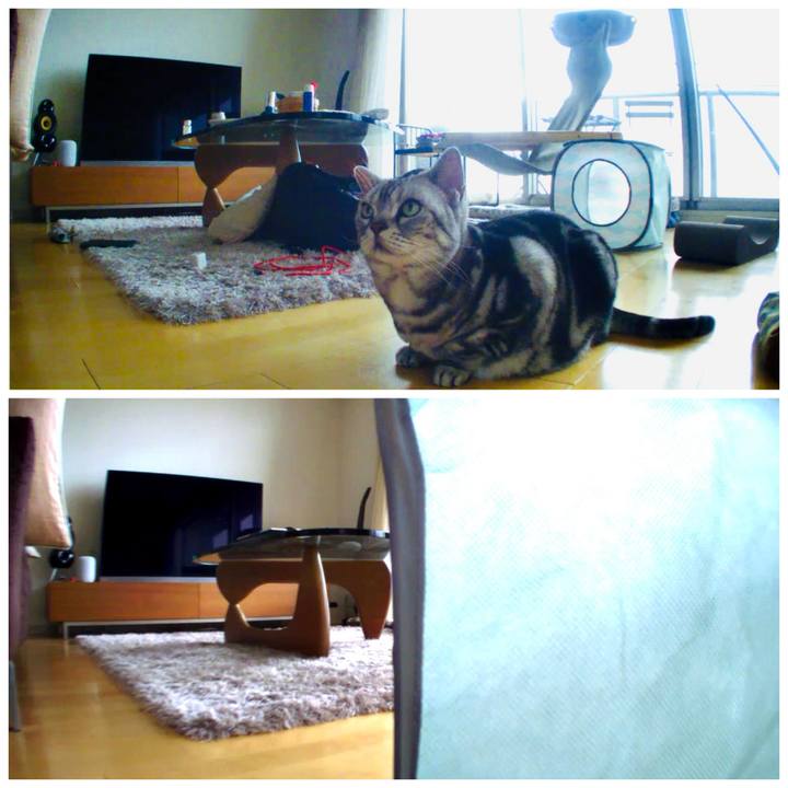 Ca18dc31 764e 40fe 84f6 c1851cb21b42 1759647817703