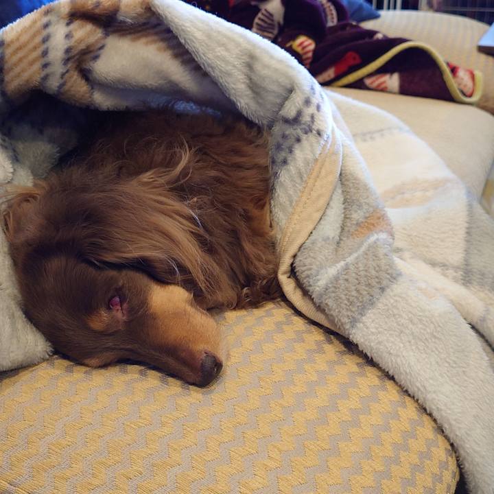 Ca18fbbd 2657 4e08 91c0 37436845d1ab 1734319726872