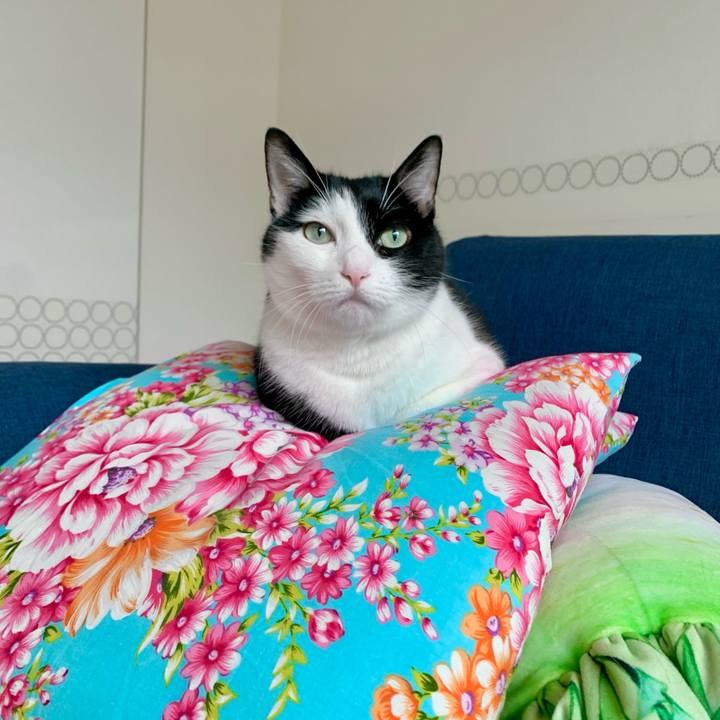 Ca1907c2 9538 4656 ab77 5950a4445ebe 1636638648302