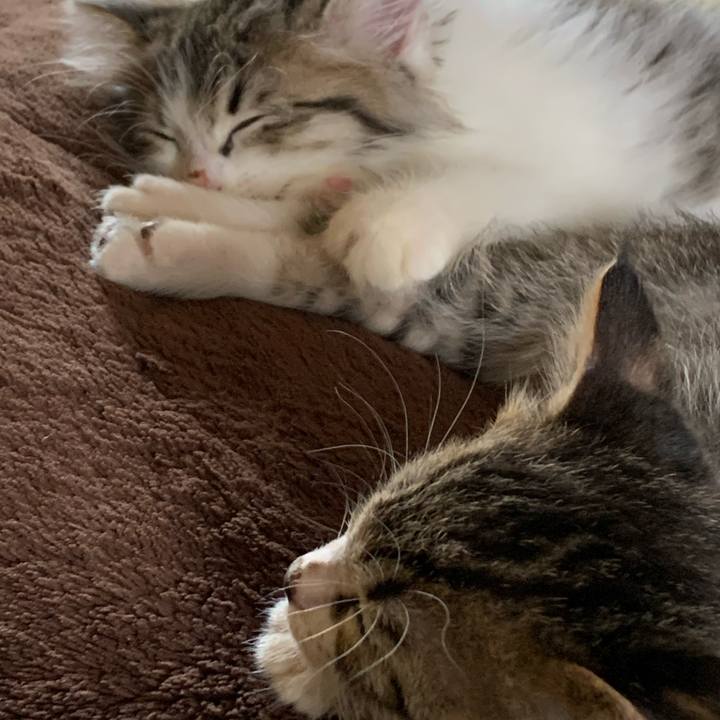 Ca191357 e63b 428e a327 719284e4798d 1686609577917