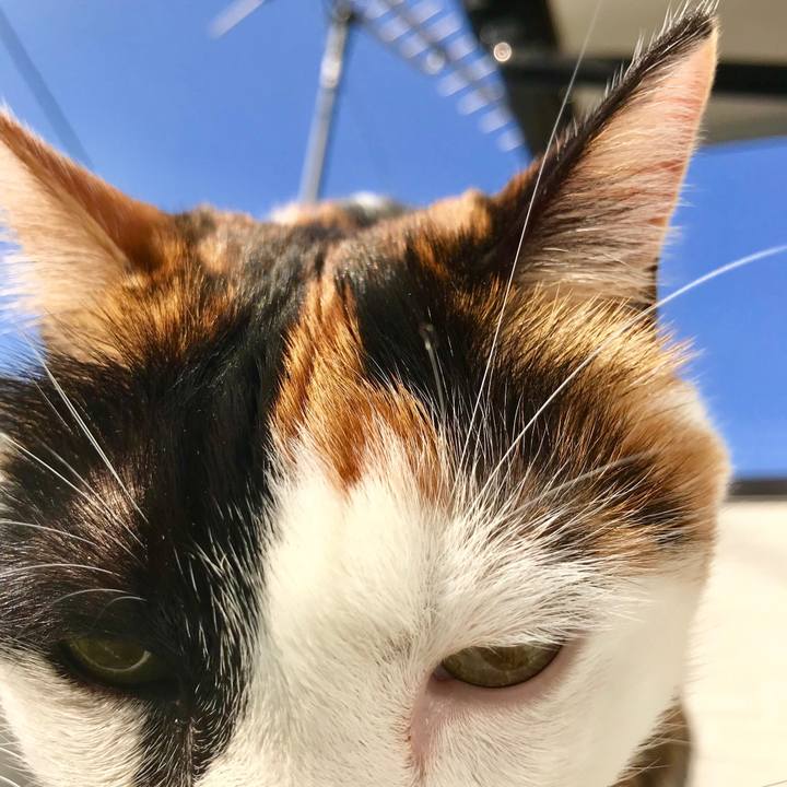 Ca194c93 edaa 45fe a542 93f784a37813 1510366816216