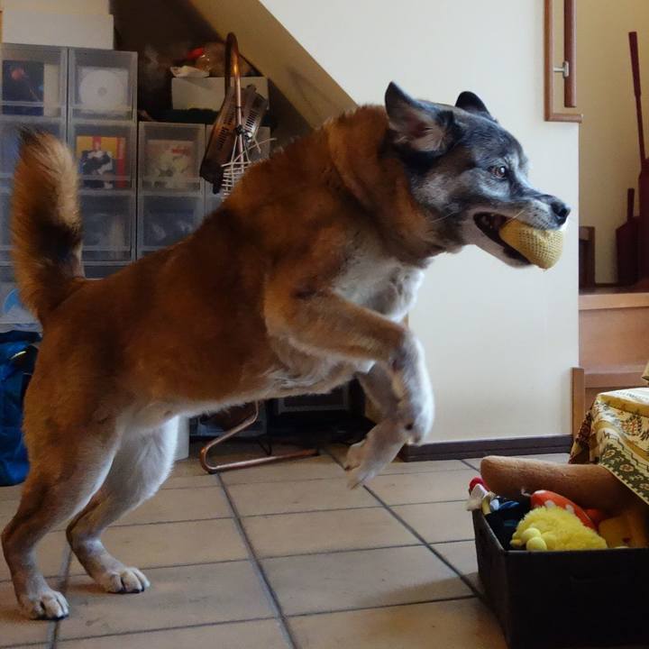 Ca197b41 e9b9 4f4e a081 a9a466d256e0 1555203834313