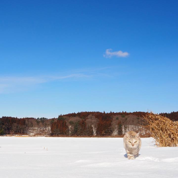 Ca19cd32 5a55 4e0d 8948 dde7157f7065 1769688409091