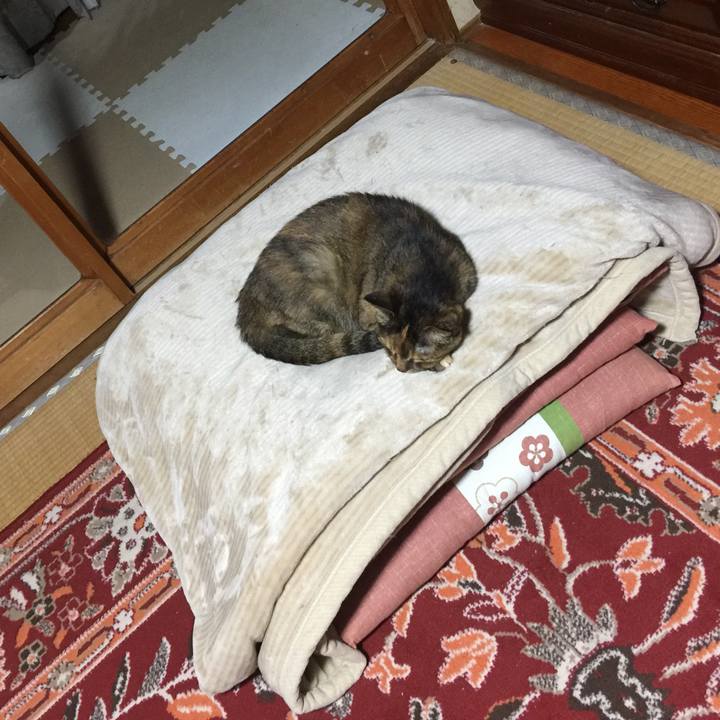 Ca19d118 b0bf 4acc ac36 e03288d81039 1624969734332