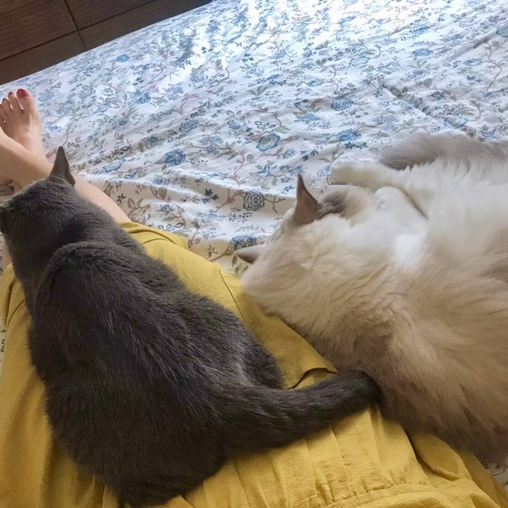 Ca1a090d 5153 4406 9e84 a281ed26cdde 1630048716202