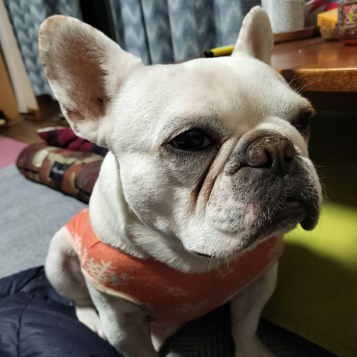 Ca1a4c57 93e0 4cf1 8daa 8d8d4f6d2d14 1676242437271