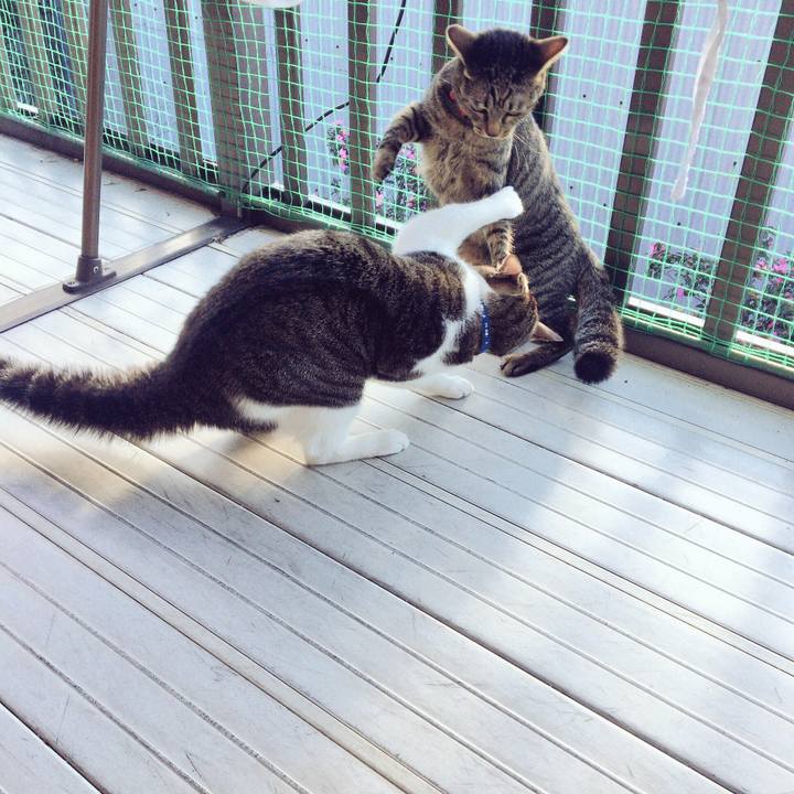 Ca1a5267 dcd4 4846 8962 52545fe82b63 1512519780713