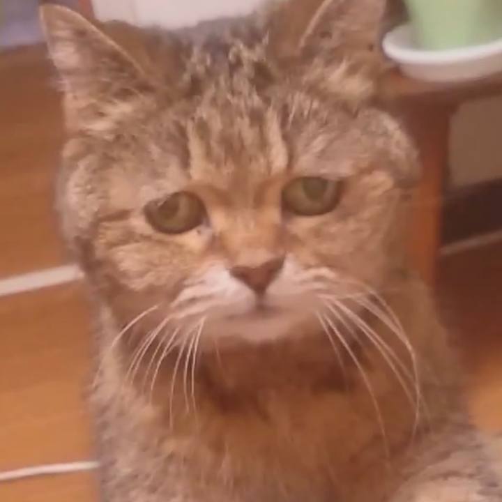 Ca1a9892 c818 47f6 9448 245a39655e99 1603524026930