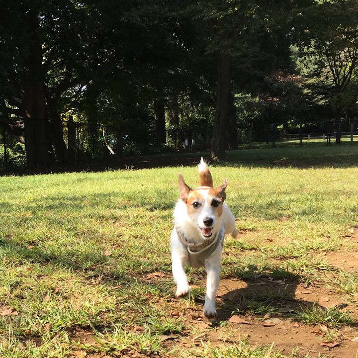 Ca1aa151 0fa7 4fd1 ab7b 7bf46449e207 1601772660029