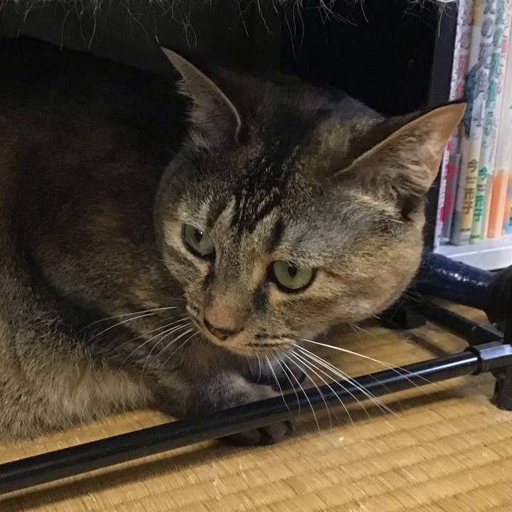 Ca1ab22f f6b3 4557 9ff2 196d06ce846d 1721635150760