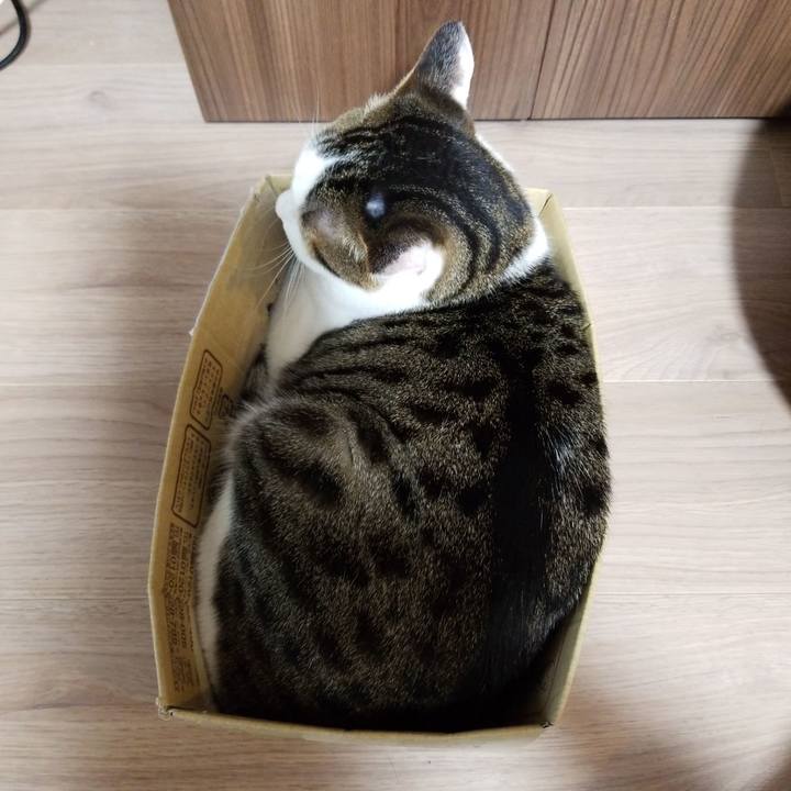 Ca1ac0a9 8427 4202 b4ea f922f78bf4dd 1589836907288