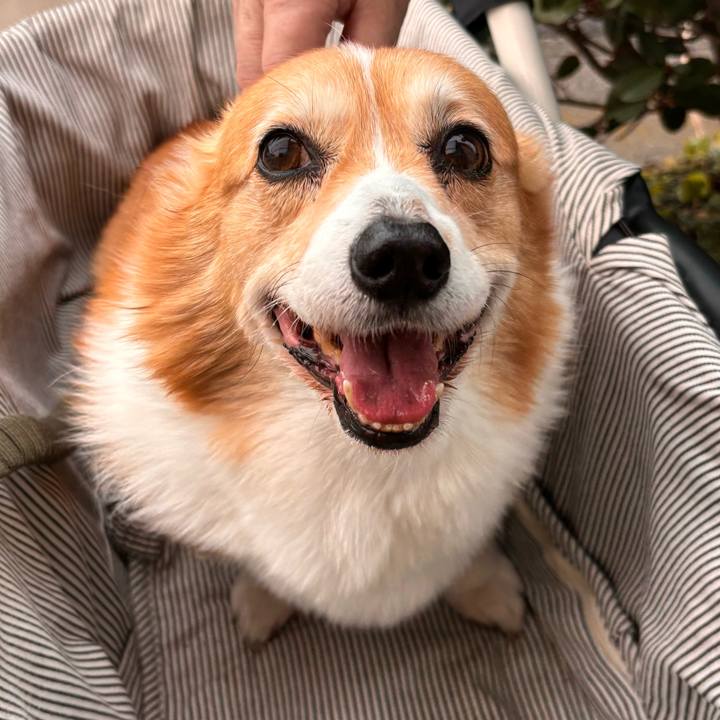 Ca1ae820 679f 4f4c 881b aa9905bab64e 1768787269140