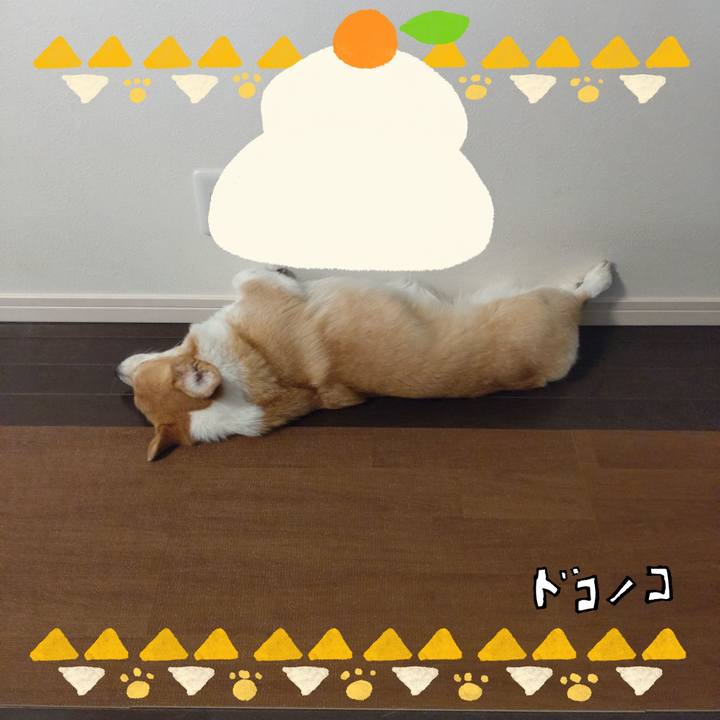 Ca1afc6d 494e 4ef4 839c 3b7652b7925c 1704167850659