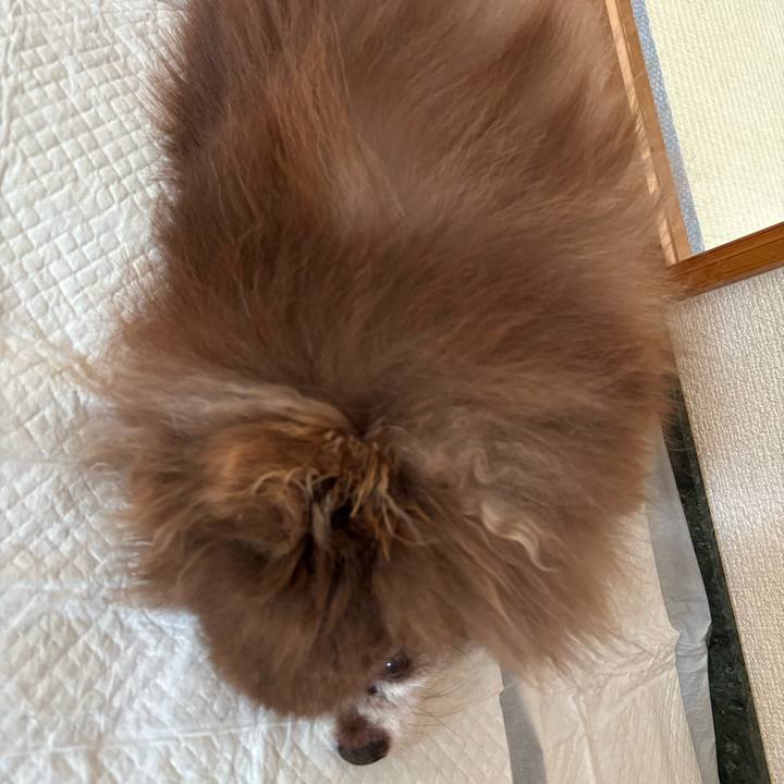 Ca1b81e6 f9d4 4e95 a58e 981357de9549 1750109959195