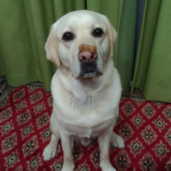 Ca1b90b1 9acf 4cdd 8f45 af33dea51fbd 1522669967554