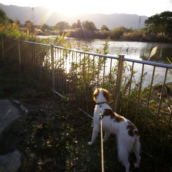 Ca1ba6dd 9372 471f 9907 2f8f3d4fd591 1510834441734