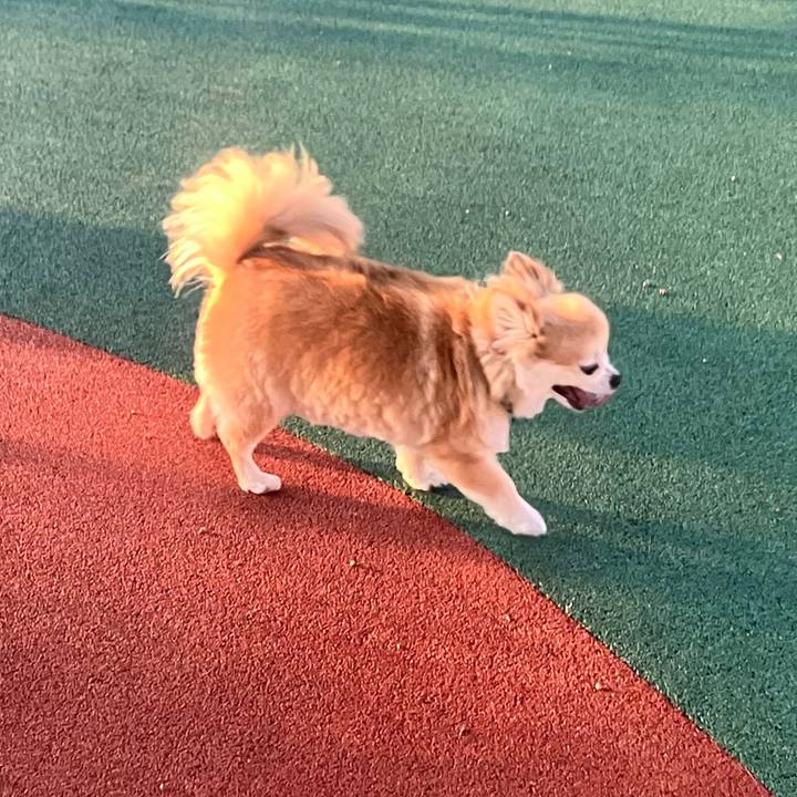 Ca1bd711 4fd3 4657 9871 ab7a680c1457 1753014588032