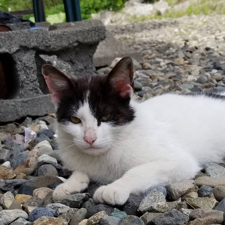 Ca1bf097 d1a6 4d38 9c41 85cc74c52eac 1559203701061