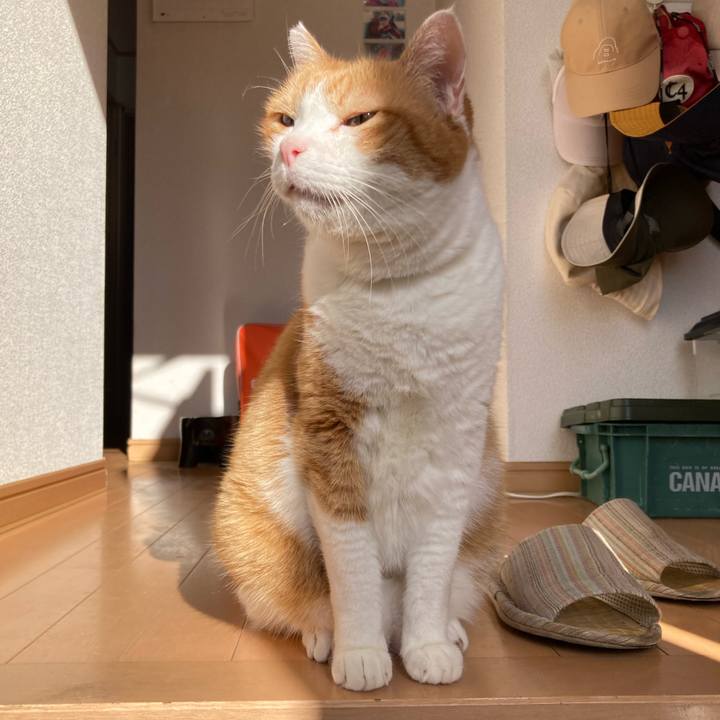 Ca1c23e6 514c 45c0 b367 41059d5c996d 1763717510399