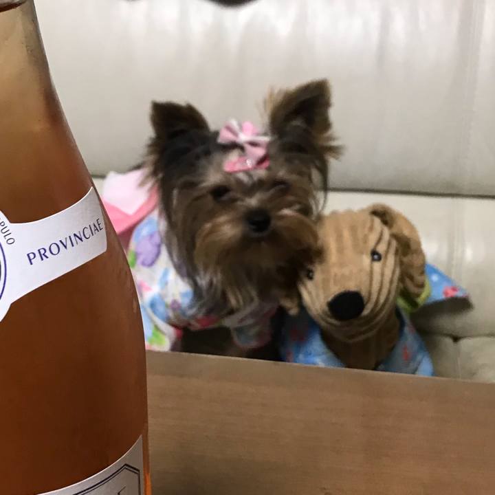 Ca1c2c29 67b2 4b76 bdcc 149176008624 1660995647392