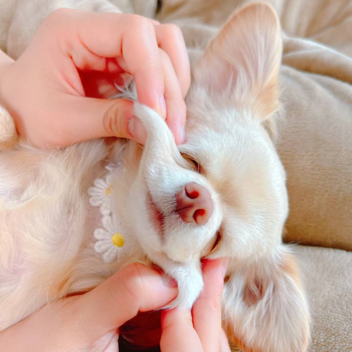 Ca1c3740 7f9d 4b70 8140 bba9799703d5 1648699704002