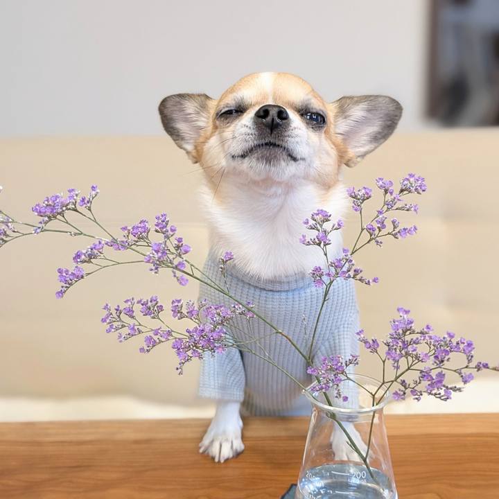 Ca1c873f 7772 4cc0 8c33 8bba3652face 1733016027454