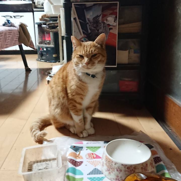 Ca1c8cb0 88ae 40fe 97da 66cd4d3d7d0e 1607543683758